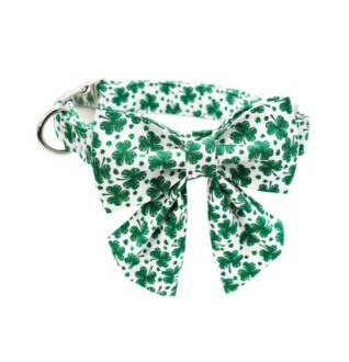 MR. CHUBBYFACE St. Patrick's Day Dog Collar