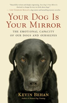 Your Dog Is Your Mirror