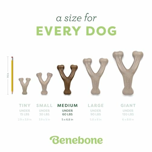 Benebone dog chew toys in various sizes for different dog weights.