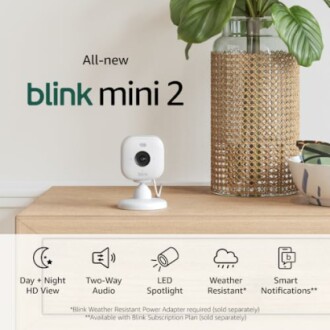 Blink Mini 2