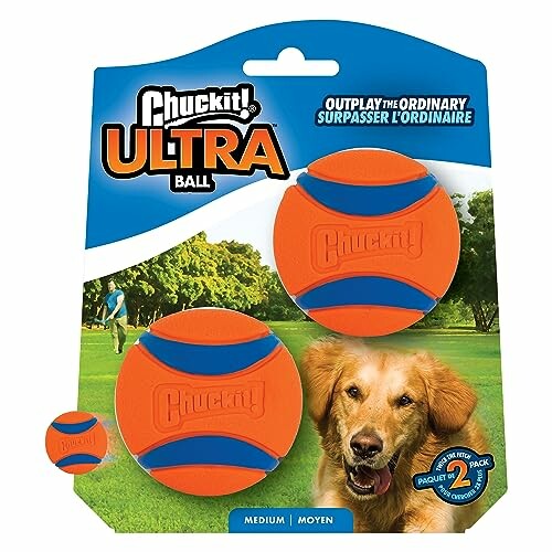 Chuckit! Ultra Ball dog toy package with two orange and blue balls and a dog image