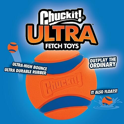 Chuckit Ultra Fetch Toys with orange and blue rubber ball, high bounce, durable, floats