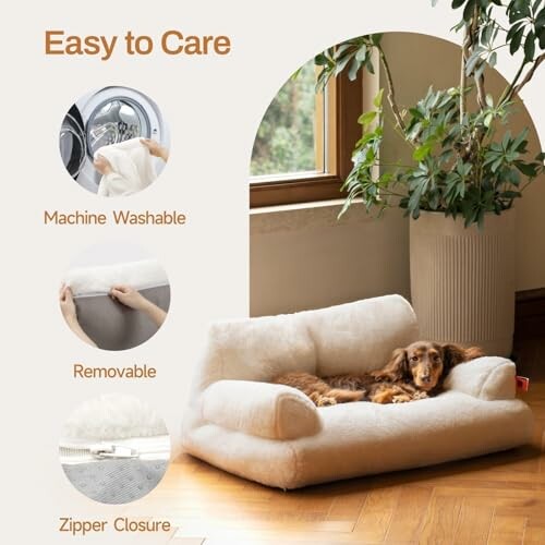 Dog lying on a plush bed with care instructions: machine washable, removable cover, zipper closure.