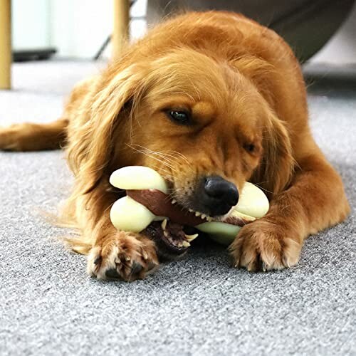 Dog chewing on a bone-shaped toy on a carpet