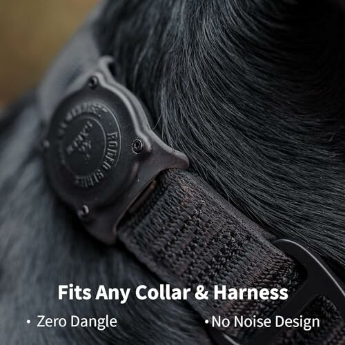 Close-up of a dog collar with zero dangle and no noise design.