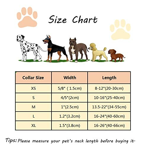 Dog collar size chart with various dog breeds and measurements.