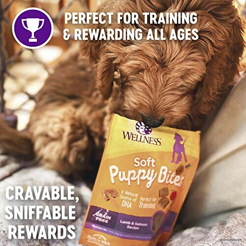 Dog sniffing a bag of Wellness Soft Puppy Bites treats.