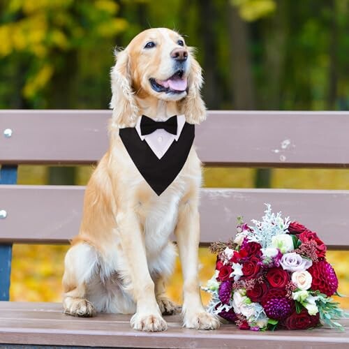 A bride and groom with a dog in a tuxedo collar, celebrating their special day.