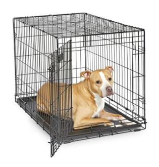 MidWest iCrate Dog Crate