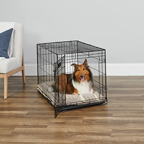 Dog sitting inside a wire crate on a cushion.