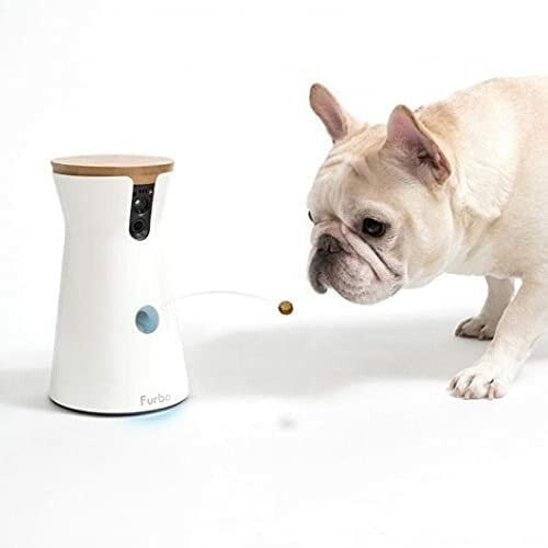 Dog interacting with a treat dispenser.