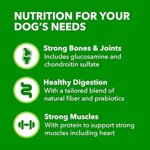 Infographic highlighting dog nutrition benefits: strong bones and joints, healthy digestion, strong muscles.