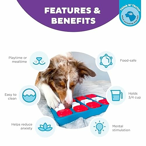 Dog playing with a puzzle toy highlighting features and benefits.