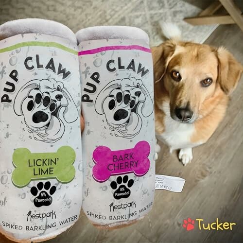 Dog looking at two Pup Claw toy cans in lime and cherry flavors.