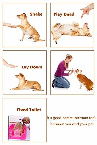 Collage of dog training commands: shake, play dead, lay down, and fixed toilet.