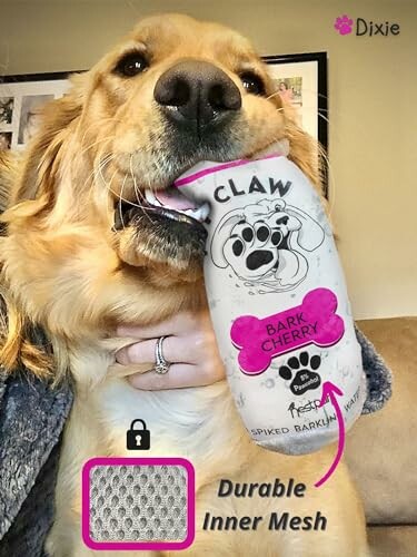 Golden retriever holding a Bark Cherry toy with durable inner mesh.