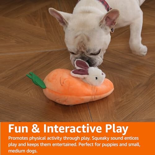 Dog playing with carrot-shaped toy on wooden floor.