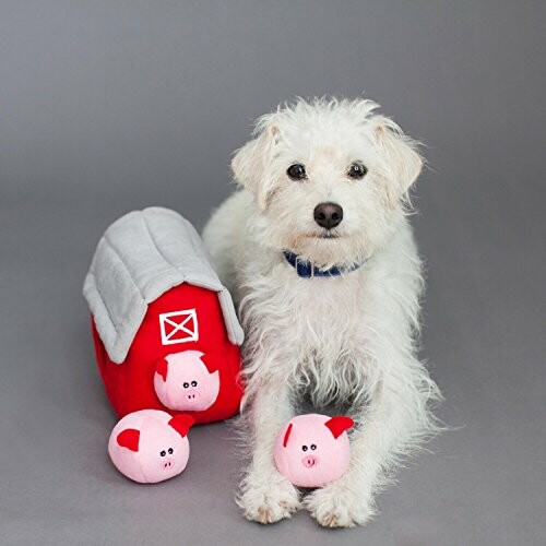 White dog with pig-themed toys and a red barn toy.