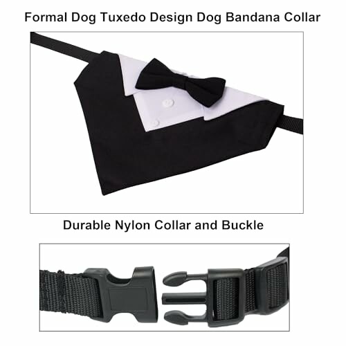 A dog in a tuxedo bandana collar, looking stylish and handsome.