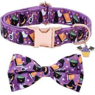 Faygarsle Stylish Bow Tie Dog Collar