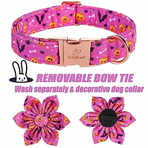 Halloween-themed pink dog collar with removable bow tie.