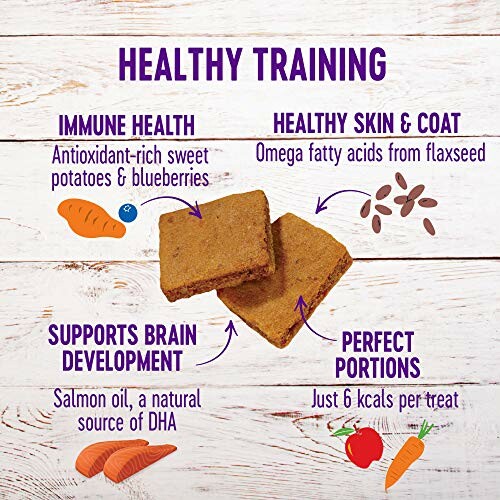 Infographic showing benefits of dog treats for immune health, skin, brain development, and portion control.