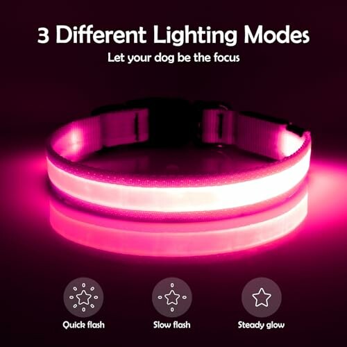 Vizpet LED dog collar with three lighting modes: quick flash, slow flash, and steady glow.