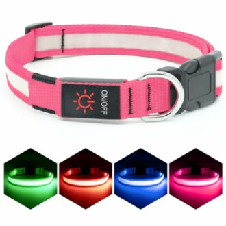 VIZPET LED Dog Collar