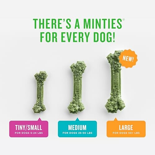 Three sizes of Minties dog chews for different dog weights.