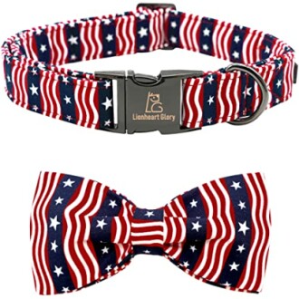 Lionheart Glory American Flag Dog Collar