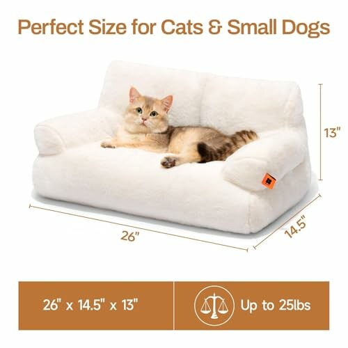 Cat lounging on a small white pet couch with size dimensions.