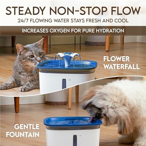 Cats and dogs drinking from a pet water fountain.