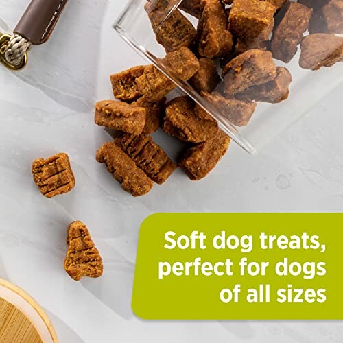 Soft dog treats spilling from a container onto a surface with text highlighting suitability for all dog sizes.