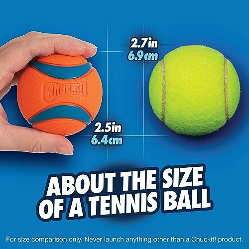 Comparison of an orange Chuckit! ball and a tennis ball with measurements