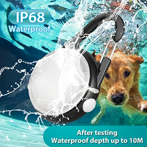 Dog swimming underwater with LED light attached