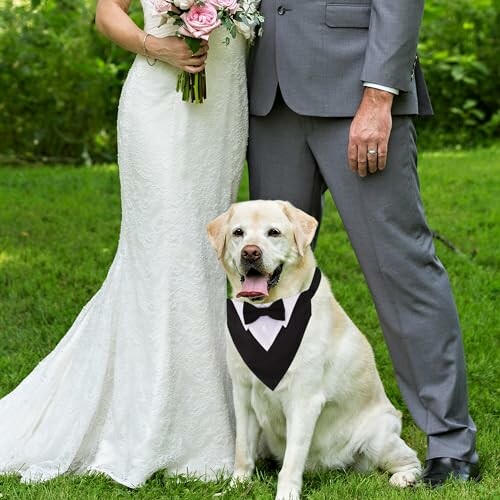 A dog in a tuxedo sitting on a bench, looking pleased with itself.