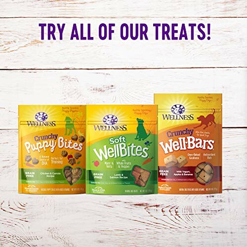 Assorted Wellness dog treats including Puppy Bites, WellBites, and WellBars.